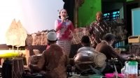 Pageleran wayang Kulit Seekah Bumi Desa Sekuro