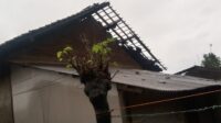 IMG-20230225-WA0017