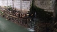 IMG_20240221_184123