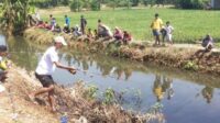 Objek-wisata-baru-bernama-Wisata-Sawah-Bengkok-di-kawasan-persawahan-Jepara~2