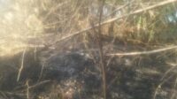IMG-20240920-WA0009