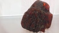 bongkahan-amber-seberat-35-kilogram-itu-merupakan-potongan-rumanit-terbesar-yang-pernah-ditemukan_169~2