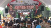 IMG-20250121-WA0028