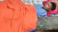 IMG-20250130-WA0029~2
