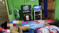 IMG-20250313-WA0037~2