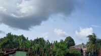 IMG_20260124_080331