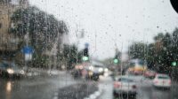 IMG_20260215_070308