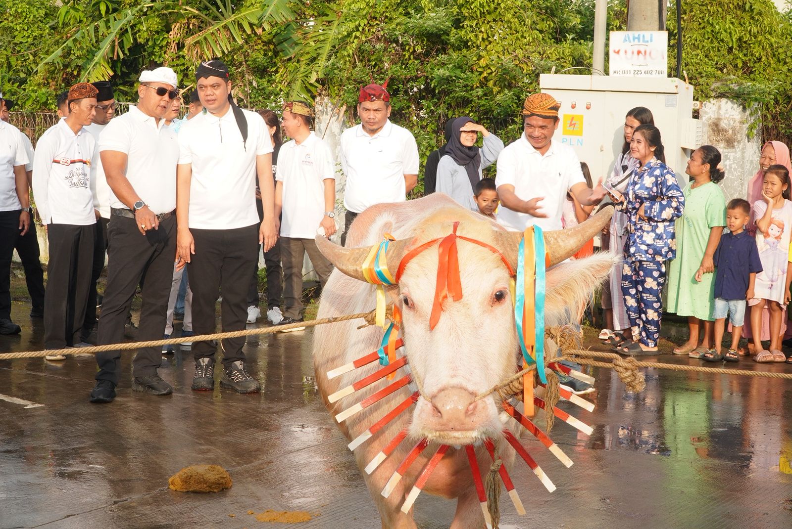 Kerbau bule diarak dalam kirab Lomban Syawalan Jepara 2026 disaksikan ribuan warga