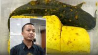 Ilustrasi program MBG atau Makan Bergizi Gratis yang disorot CELIOS terkait anggaran Rp335 triliun dan gugatan uji materi ke MK