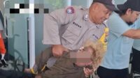 Anak punk bacok lansia di Jombang saat korban mencari rumput, pelaku diamankan polisi setelah sempat dimassa warga