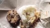 menu MBG Sampang dibungkus kertas dikeluhkan warga