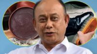 ilustrasi anggaran badan gizi nasional sikat sepatu